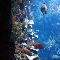 Op ontdekkingsreis naar mezelf, jarig met onbekende bestemming