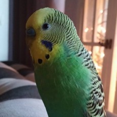 Op ontdekkingsreis naar mezelf, poepetjuuuuuu