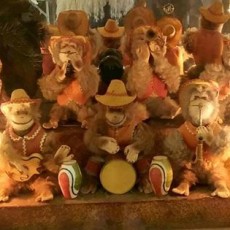 Over Leven: Moederdag