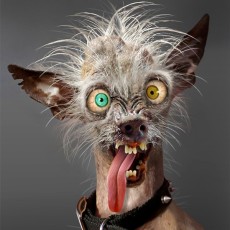 Ontsnappen aan een gekkenhuis