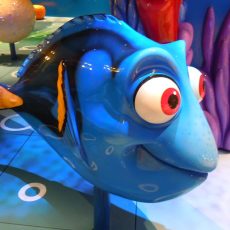 Onzichtbaar ziek: Op zoek naar “Dory”