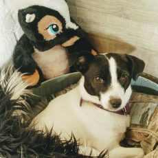 Eén jaar Tikkel (13)