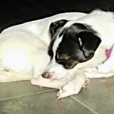 Lost and found (Tikkelverhaal 14)